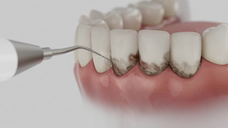 Reliable Dental contractor in Brock Hall, MD by Dentist Open Now